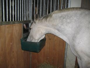 Kraftfutter-Fütterung