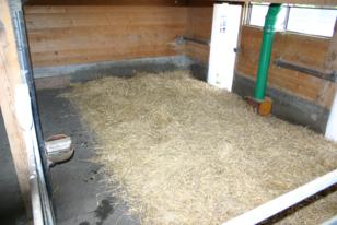 Frisch eingestreuter Freilaufstall Frisch eingestreuter Freilaufstall