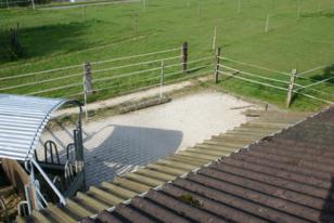 Auslaufplätze der Freilaufstallungen Auslaufplätze der Freilaufstallungen