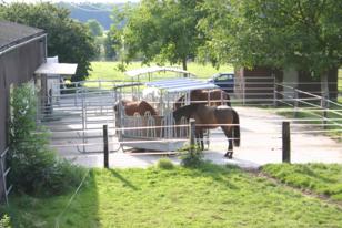 Auslaufplätze der Freilaufstallungen
