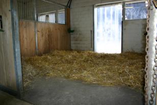 Frisch eingestreute Einzelbox Frisch eingestreute Einzelbox