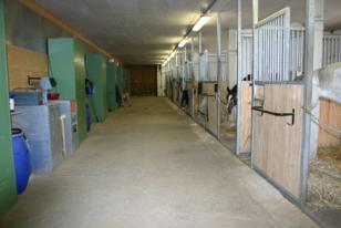 Stallgang der Einzelboxen